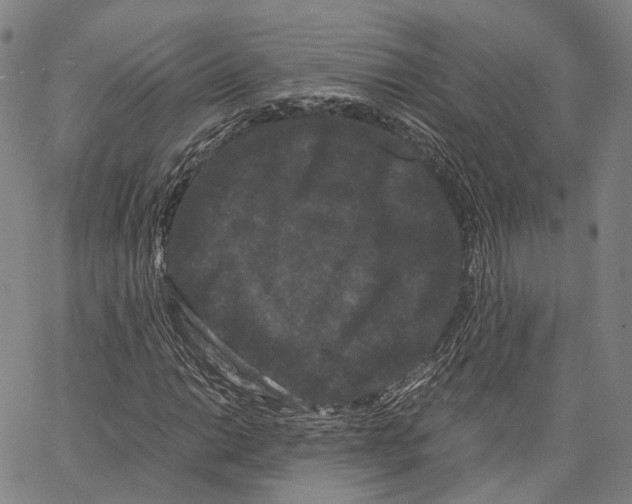 X0000062831014200602101506