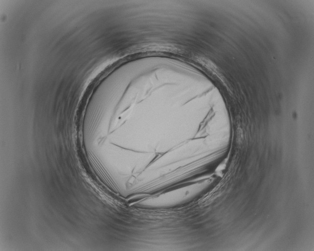 X0000062831024200602101506