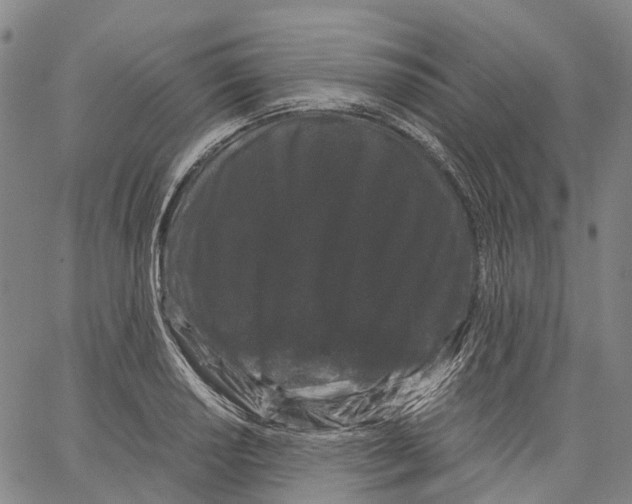 X0000062831034200602101506