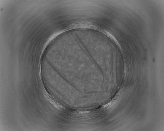 X0000062831035200602101506