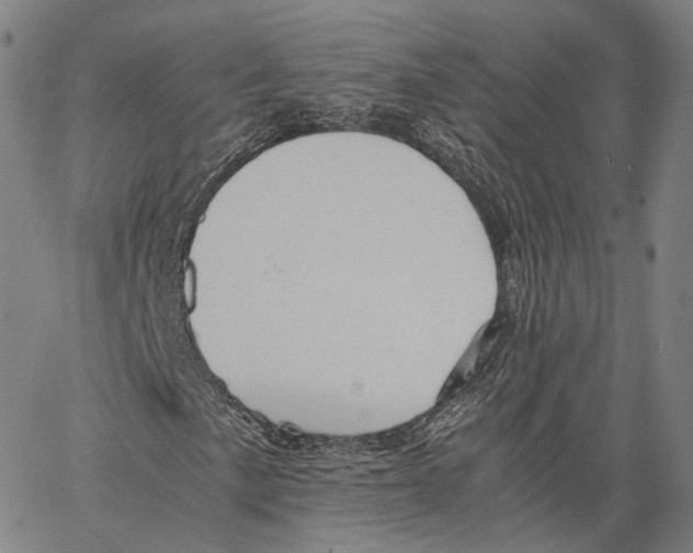 X0000062831057200602101506