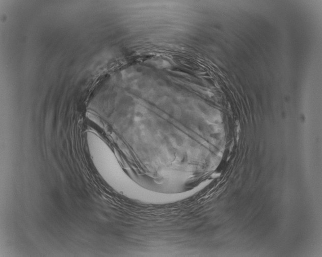 X0000062831059200602101506