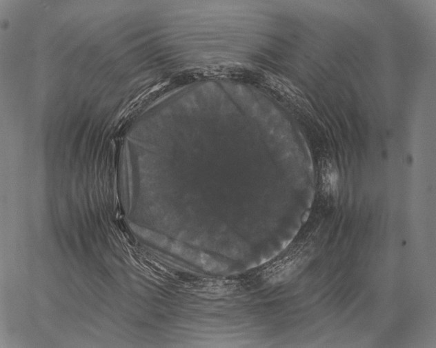 X0000062831060200602101506