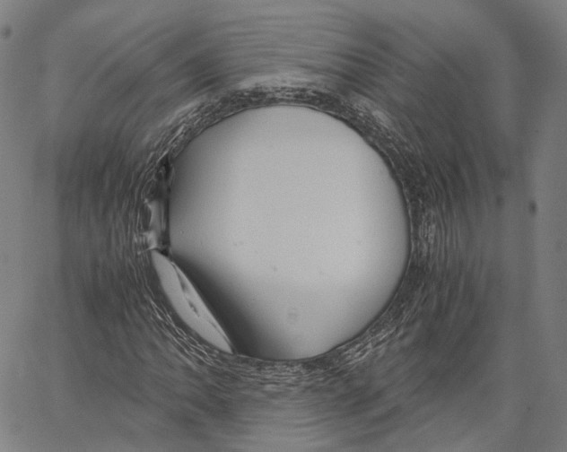 X0000062831062200602101506
