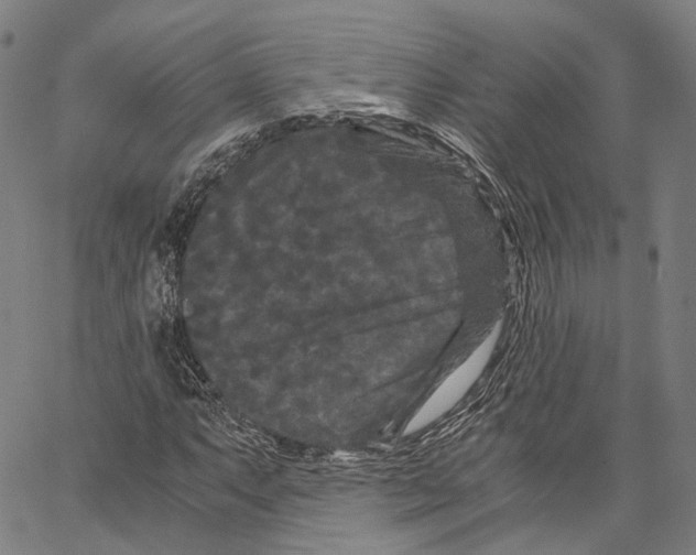 X0000062831063200602101506