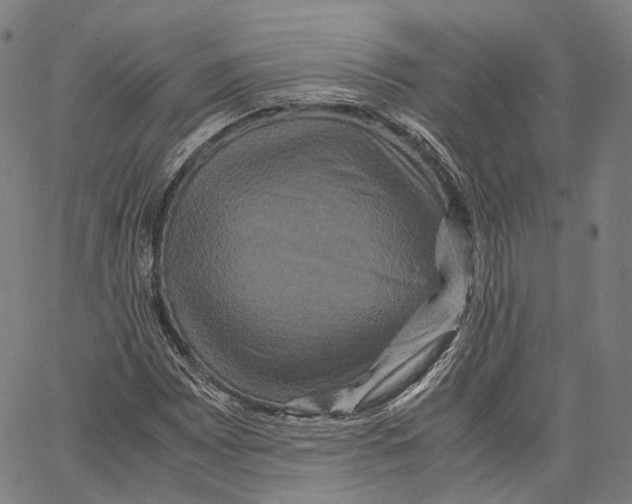 X0000062831065200602101506
