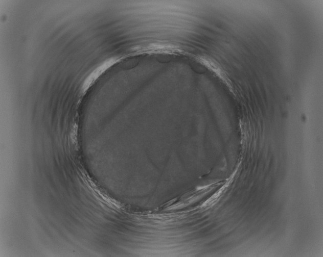 X0000062831066200602101506