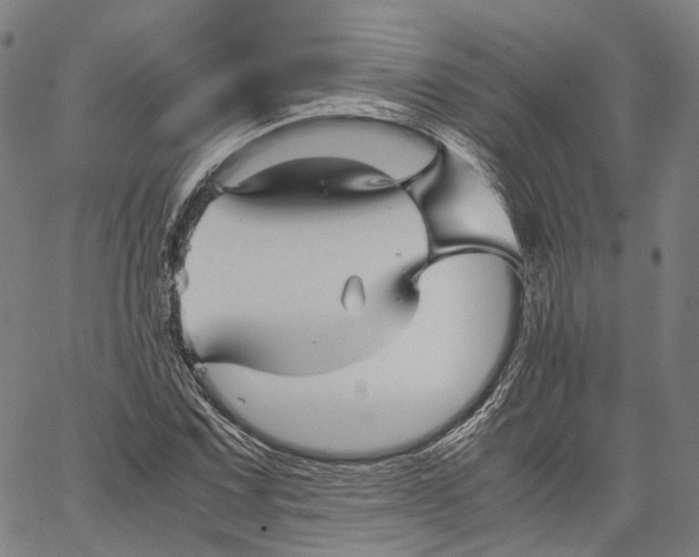 X0000062831067200602101506