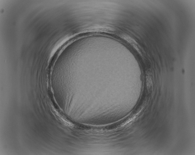 X0000062831069200602101506