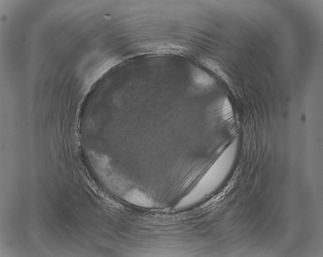X0000062831071200602101506