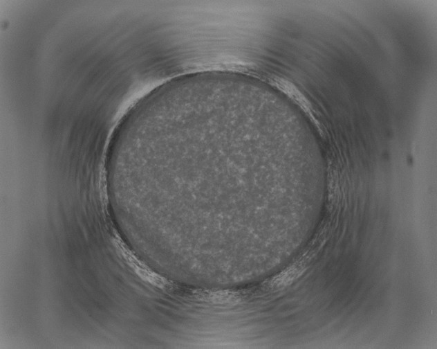 X0000062831072200602101506