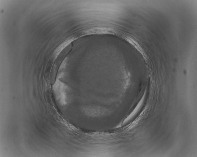 X0000062831081200602101506