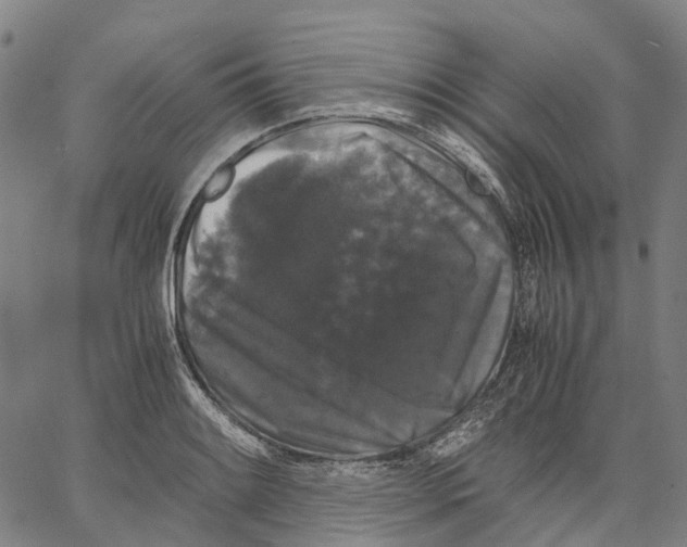 X0000062831084200602101506