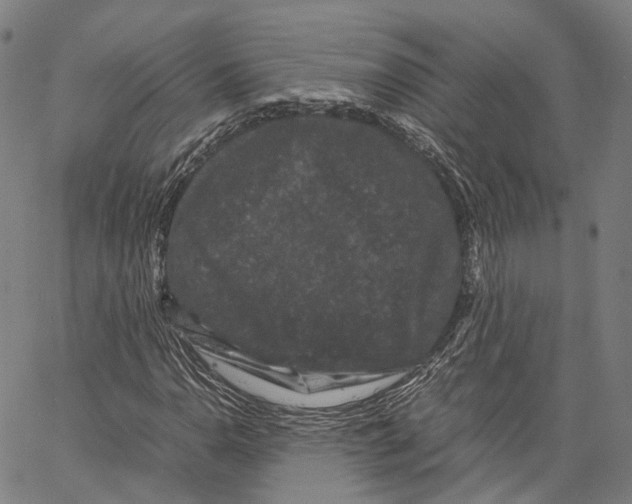 X0000062831110200602101505