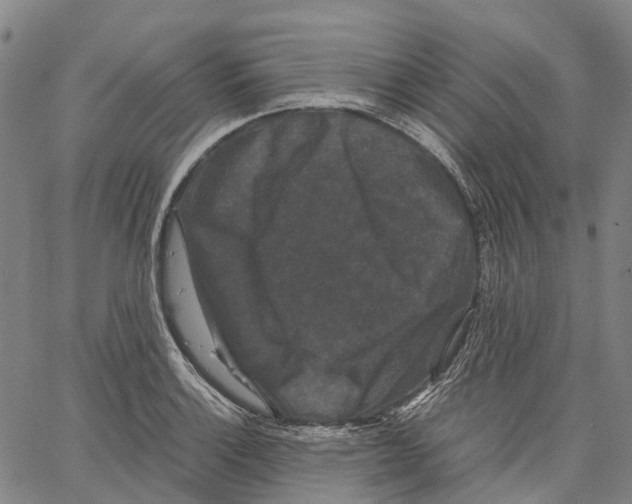 X0000062831132200602101505