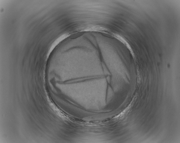 X0000062831138200602101505