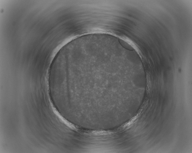 X0000062831142200602101505