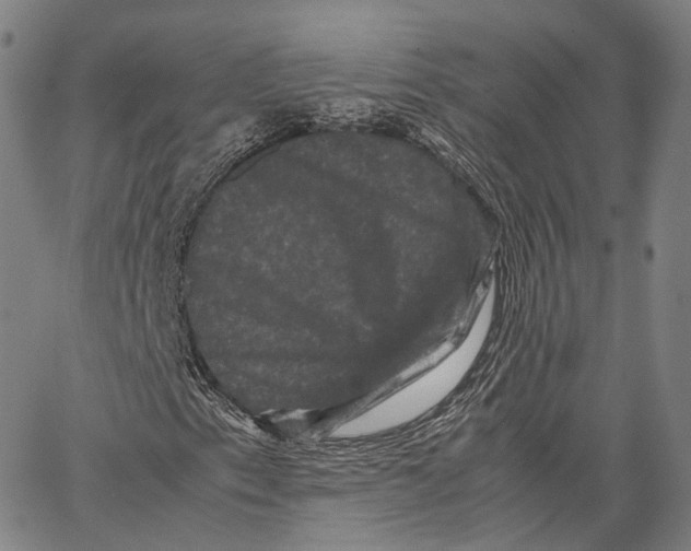 X0000062831153200602101504