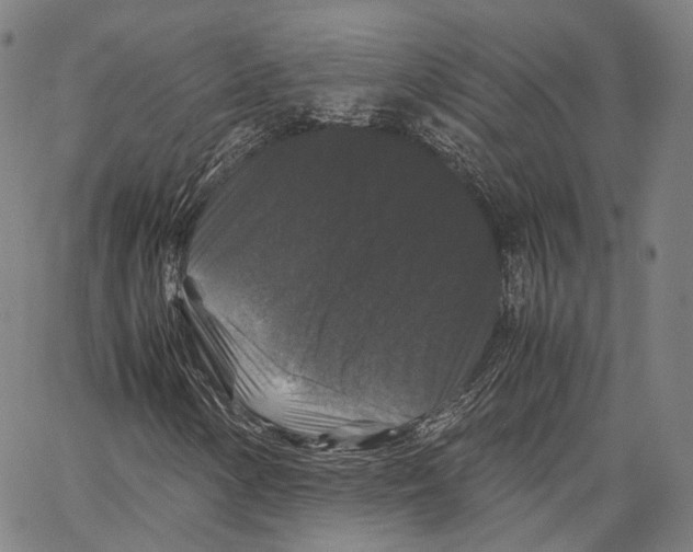 X0000062831154200602101504