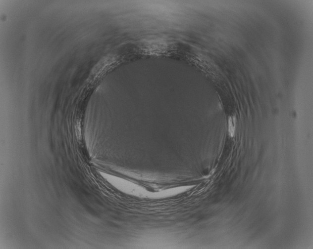 X0000062831155200602101504