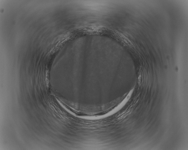 X0000062831156200602101504