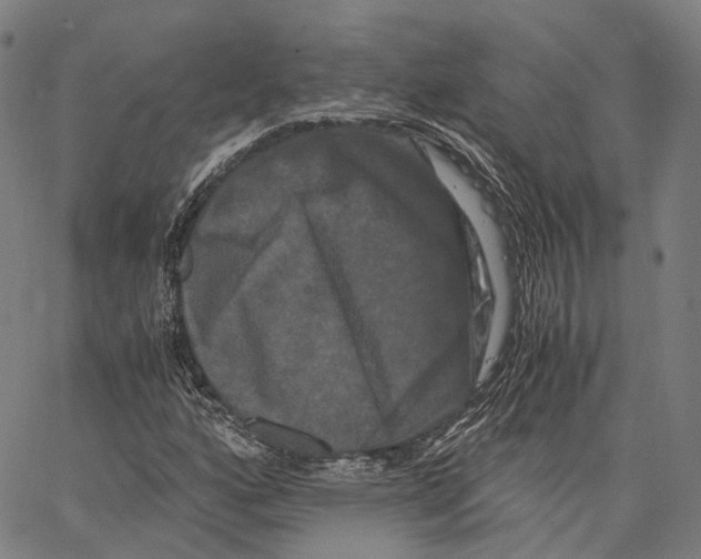 X0000062831160200602101504