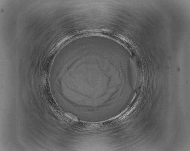 X0000062831161200602101504