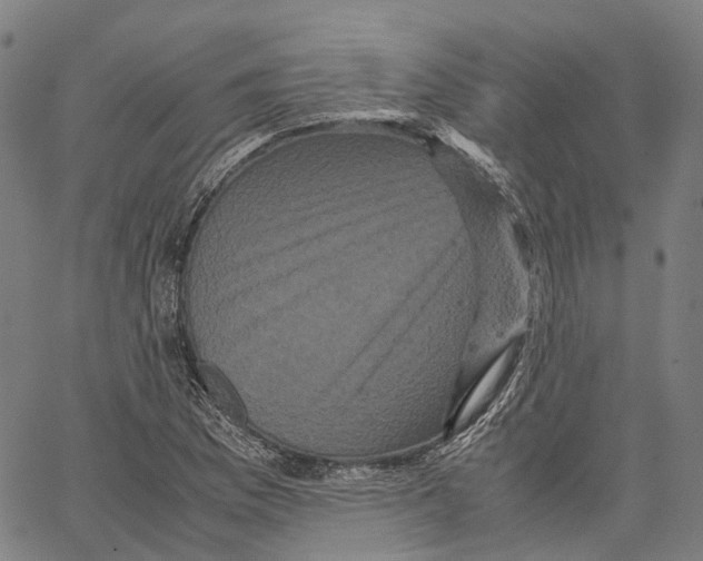 X0000062831169200602101504