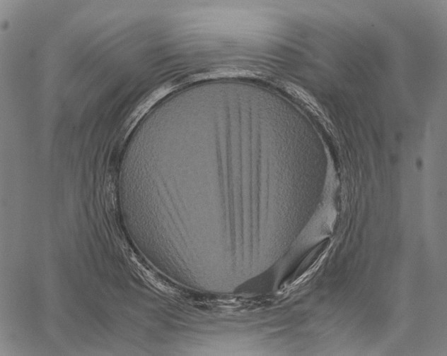 X0000062831177200602101504