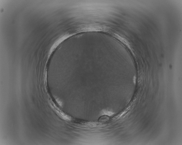 X0000062831179200602101504