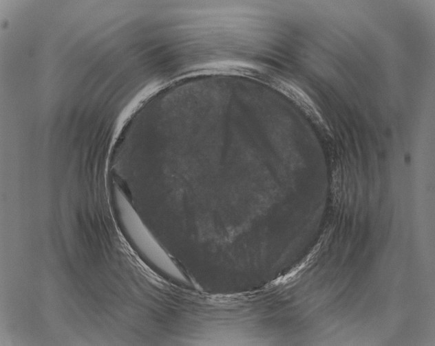 X0000062831180200602101504