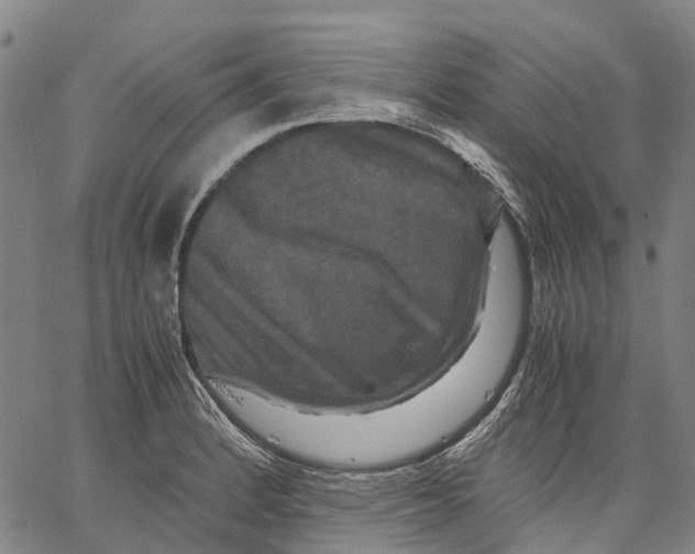 X0000062831184200602101504