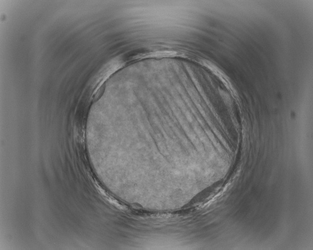 X0000062831193200602101504
