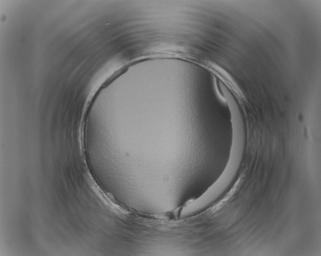 X0000062831196200602101504
