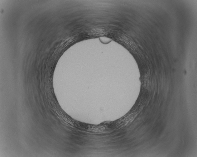 X0000062831201200602101503