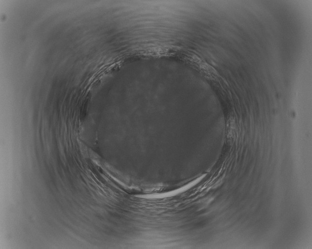 X0000062831202200602101503