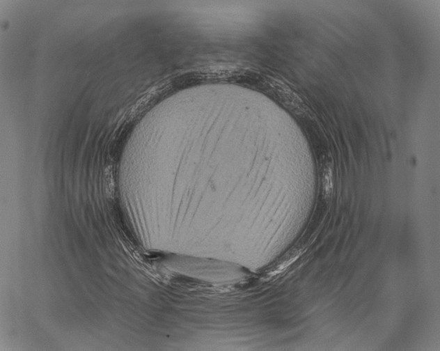 X0000062831204200602101503