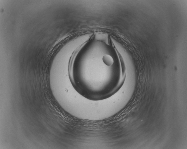 X0000062831206200602101503