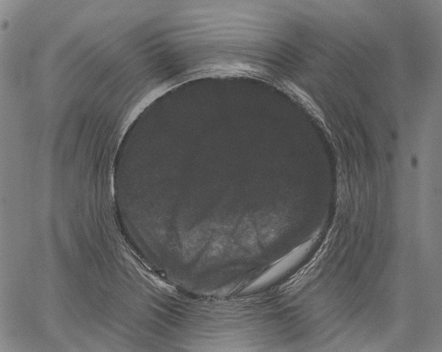 X0000062831226200602101503