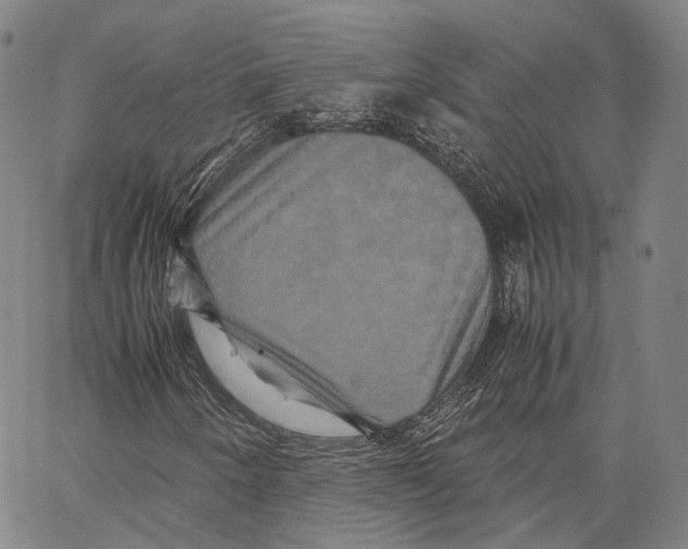X0000062831250200602101503