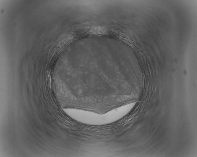 X0000062831251200602101503