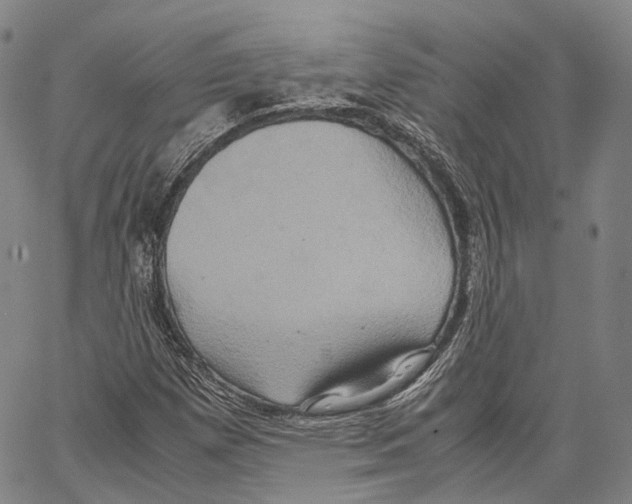 X0000062831257200602101503