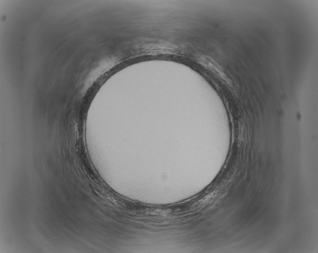 X0000062831261200602101503