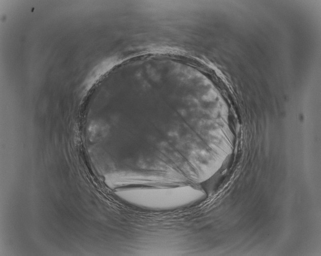 X0000062831263200602101503