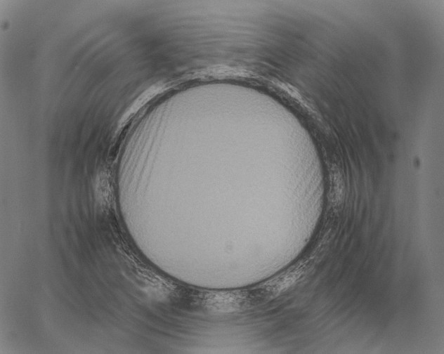 X0000062831266200602101503