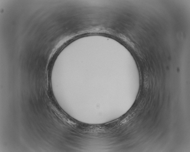 X0000062831270200602101503