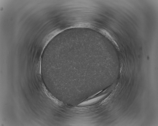 X0000062831276200602101502