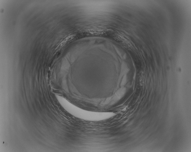 X0000062831298200602101501