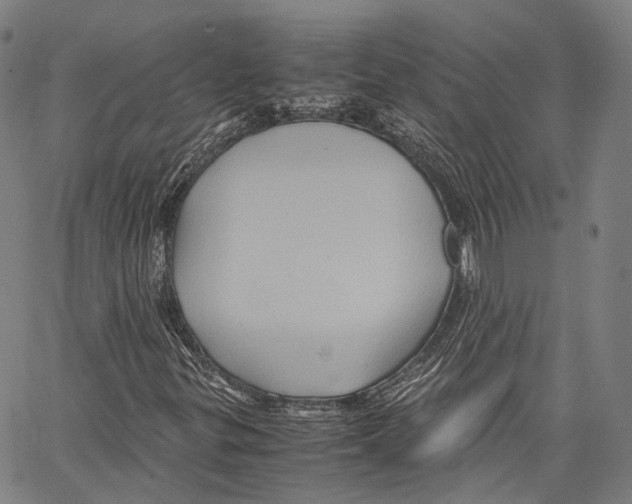 X0000062831299200602101501