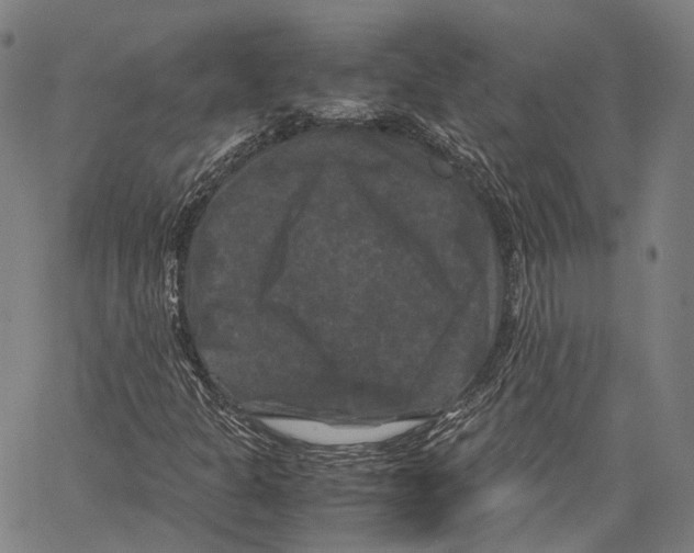 X0000062831301200602101501